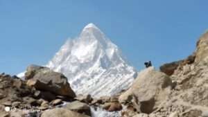 Mount Shivling peak